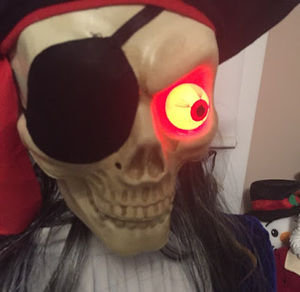 Meet your Posher, The halloween guy